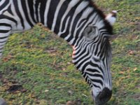 Marion, Romane South Africa 2014 (71 of 80) : Bundu lodge, Marion visit